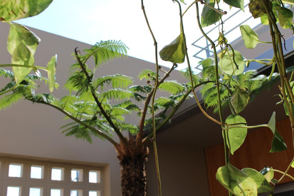 Coldio Mihama Bettei Yui No Ie Apartamento Chatan Exterior foto